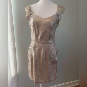 Walter Baker Shimmering Silver & Gold Mini Dress